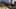 Thumbnail Spiel-Screenshot 2