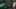Miniatura de captura de tela do jogo 2
