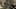 Miniature af spil-screenshot 2