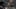 Miniatura de la captura de pantalla del juego 5