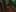 Miniatura de la captura de pantalla del juego 5
