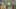Miniature af spil-screenshot 2