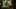 Miniatura de la captura de pantalla del juego 5