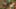 Miniatura screenshot del gioco 5