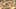 Thumbnail Spiel-Screenshot 5