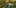 Thumbnail Spiel-Screenshot 4