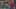 Miniature af spil-screenshot 4