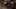 Thumbnail Spiel-Screenshot 4