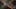 Thumbnail gamescreenshot 3