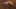 Miniature af spil-screenshot 3