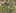 Miniature af spil-screenshot 2
