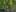 Thumbnail gamescreenshot 2