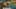 Miniatura screenshot del gioco 4