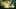 Miniatura screenshot del gioco 4