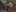 Miniatura de la captura de pantalla del juego 2