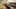 Miniature af spil-screenshot 5