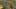 Miniatura de la captura de pantalla del juego 1