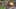 Miniatura de la captura de pantalla del juego 3