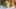 Miniatura de la captura de pantalla del juego 3