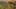 Thumbnail Spiel-Screenshot 1