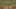 Thumbnail gamescreenshot 4