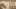 Thumbnail Spiel-Screenshot 1