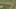 Thumbnail gamescreenshot 5
