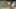 Miniatura de la captura de pantalla del juego 1