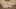 Thumbnail Spiel-Screenshot 2