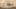 Thumbnail Spiel-Screenshot 5