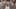 Miniatura de la captura de pantalla del juego 2