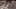Miniatura de la captura de pantalla del juego 4