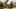 Thumbnail Spiel-Screenshot 5