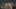 Miniatura de la captura de pantalla del juego 2