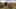 Miniatura de la captura de pantalla del juego 5