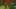 Miniatura de la captura de pantalla del juego 3