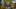 Miniatura de la captura de pantalla del juego 1