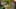 Miniatura de la captura de pantalla del juego 4
