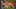 Miniatura de la captura de pantalla del juego 5