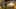 Game screenshot thumbnail 1