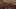 Miniatura de la captura de pantalla del juego 4