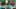Thumbnail Spiel-Screenshot 1
