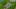 Miniature af spil-screenshot 4
