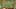 Thumbnail gamescreenshot 1