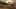 Miniatura de la captura de pantalla del juego 4