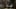 Miniature af spil-screenshot 5