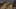 Miniature af spil-screenshot 1