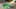 Miniatura de la captura de pantalla del juego 2