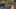 Miniature af spil-screenshot 3