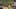 Miniature af spil-screenshot 5